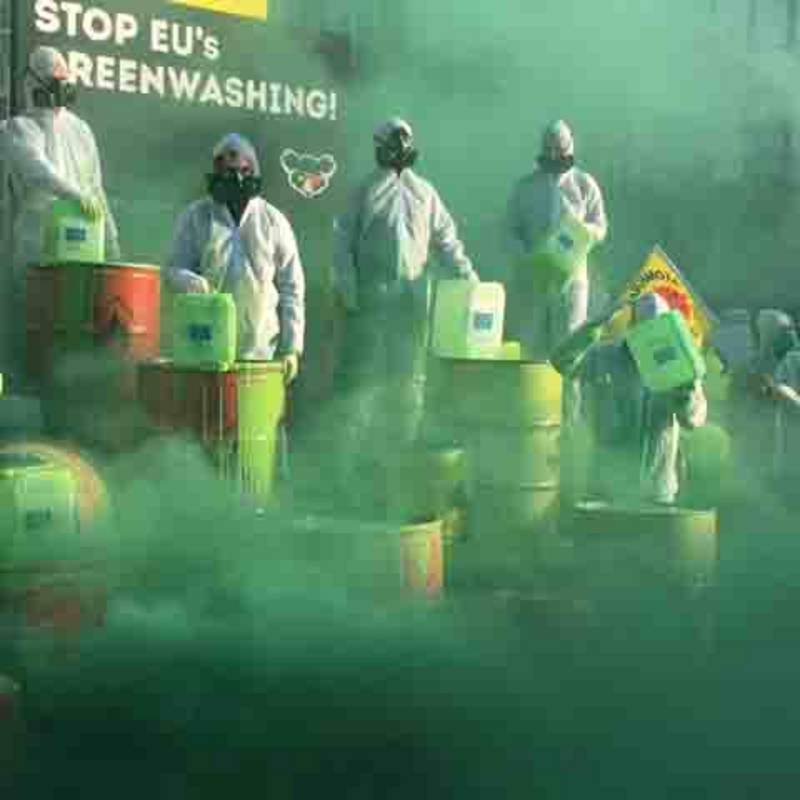 "Stop EU's Greenwashing": Demo gegen die EU-Taxonomie, 2022. Foto: Claudia Richthammer.