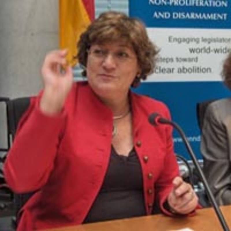 Ana Gomes, MdEP